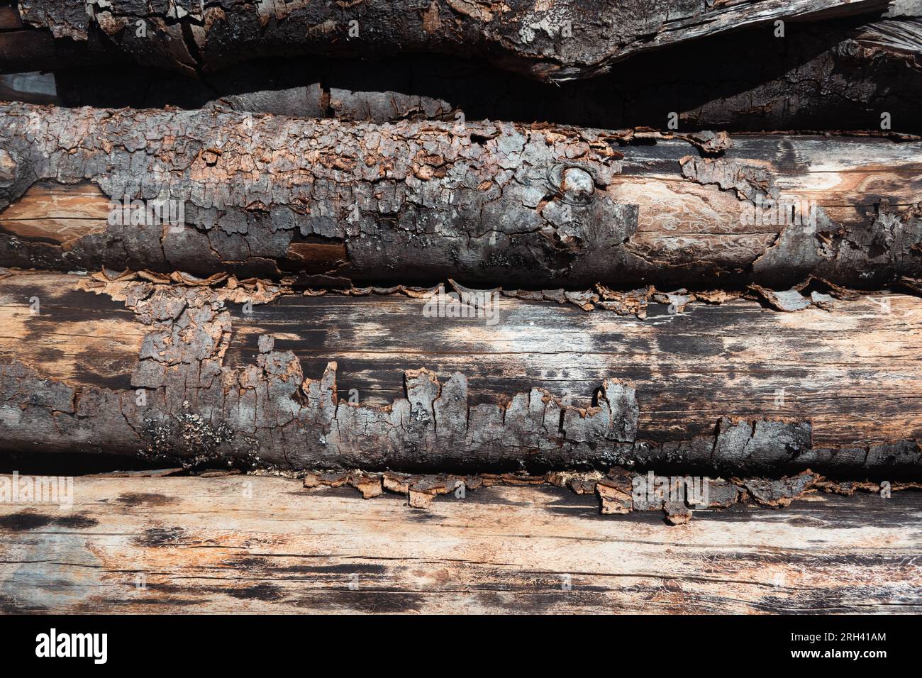 Holz grobe Holzhaufen voller Rahmen rustikaler Baustoffhintergrund Stockfoto