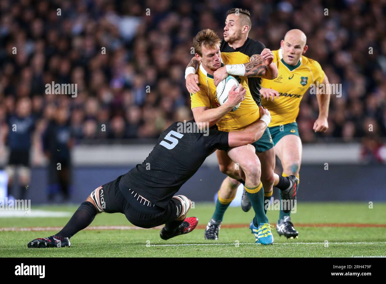 Dane Haylett-Petty of Australia während des Bledisloe Cup Rugby-Spiels zwischen Neuseeland und Australien im Eden Park in Auckland, Neuseeland, Samstag, 22. Oktober 2016. Stockfoto