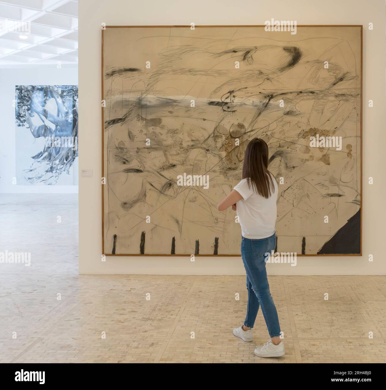 Rückblick auf eine Frau, die abstrakte Kunst im Rufino Tamayo Museum in Mexico City, Mexiko, betrachtet Stockfoto