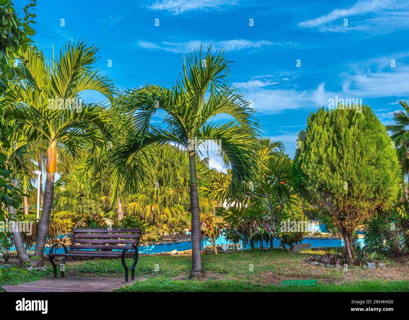 Kuba, Varadero. Kuba ist eine Insel wie ein heißer Vulkan. Urlaub an Sandstränden inmitten üppiger Vegetation, schlanke Palmen. Stockfoto Kuba, Varadero. Kuba ist eine Insel wie ein heißer Vulkan. Urlaub an Sandstränden inmitten üppiger Vegetation, schlanke Palmen. Stockfoto