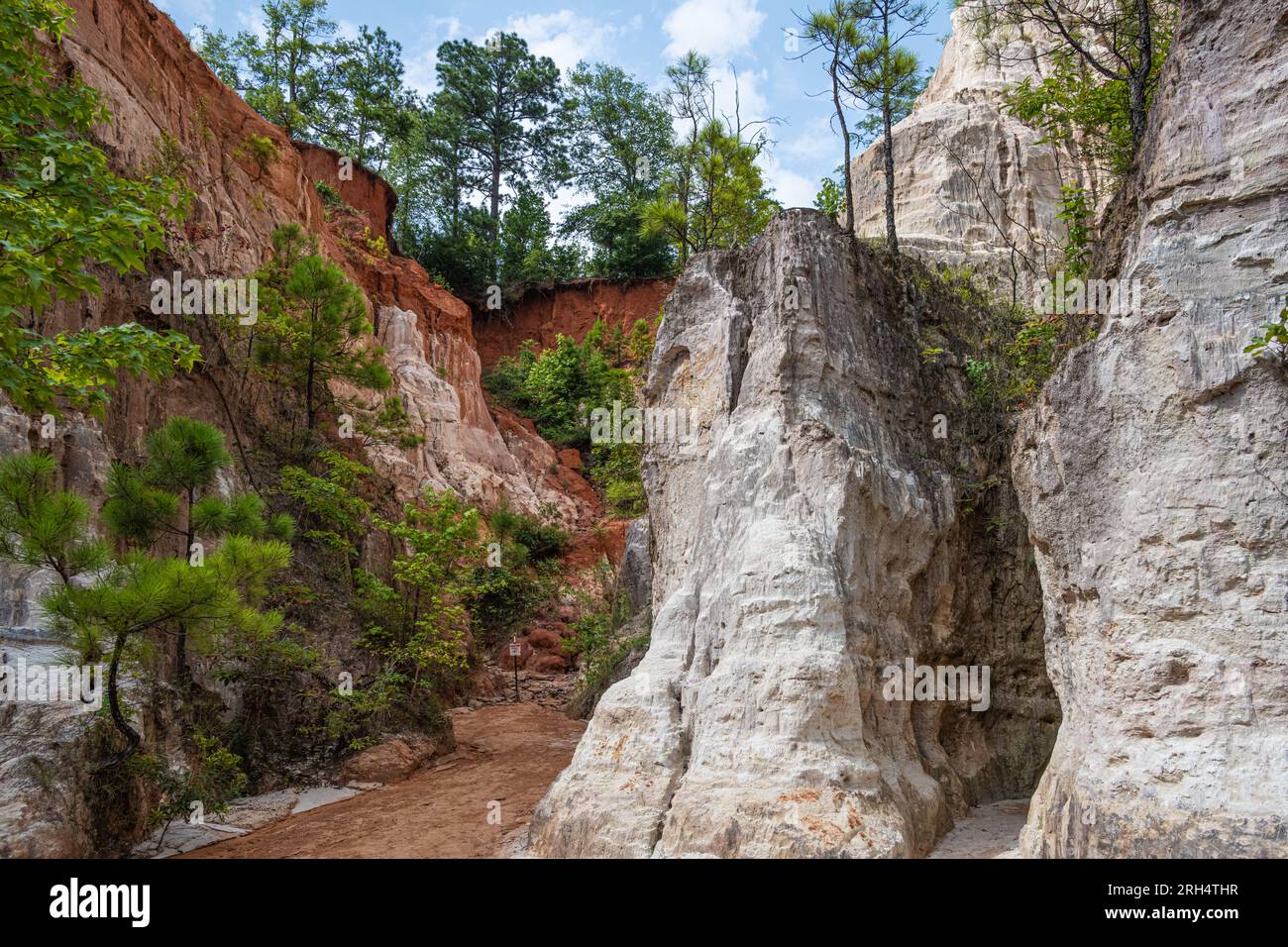 Providence Canyon State Park in Lumpkin, Georgia. (USA) Stockfoto