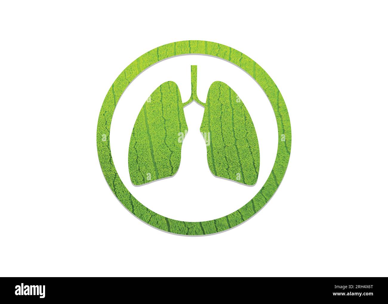 Grünes Blatt, geformt wie menschliche Lungen, konzeptionelle Vektordarstellung. Lungenform auf weißem Hintergrund isoliert- Grün und ökologisches Konzept. Weltgesundheit Stock Vektor