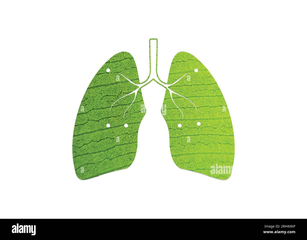 Grünes Blatt, geformt wie menschliche Lungen, konzeptionelle Vektordarstellung. Lungenform auf weißem Hintergrund isoliert- Grün und ökologisches Konzept. Stock Vektor
