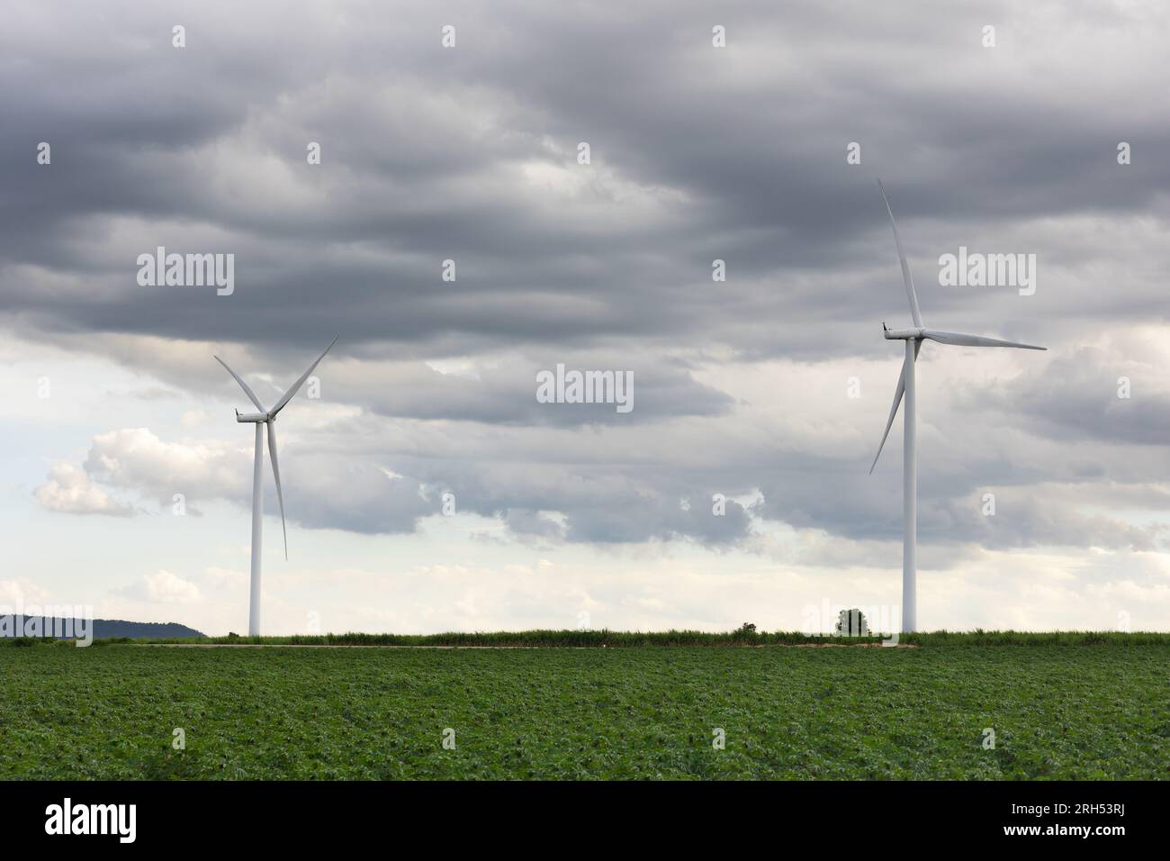 Landschaftsblick auf Windturbinen sauberes Kraftgeneratorfeld am windigen grünen, wolkigen Himmel der Berge Stockfoto