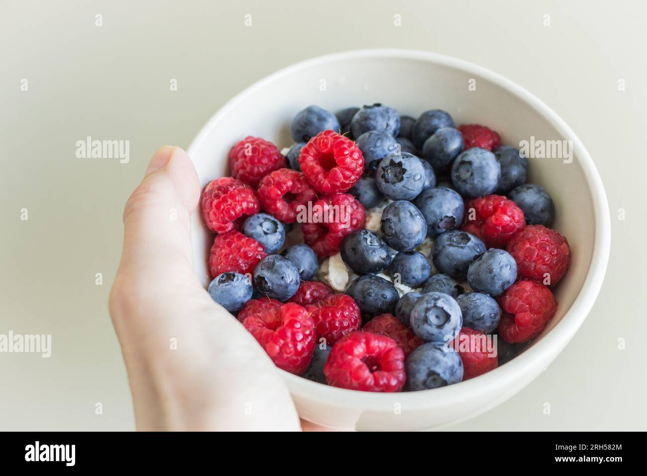 Heidelbeeren und Himbeeren mit Hüttenkäse in der Schüssel. Handschüssel mit Hüttenkäse und Beeren, Kopierraum. Gesundes Frühstückskonzept. Stockfoto