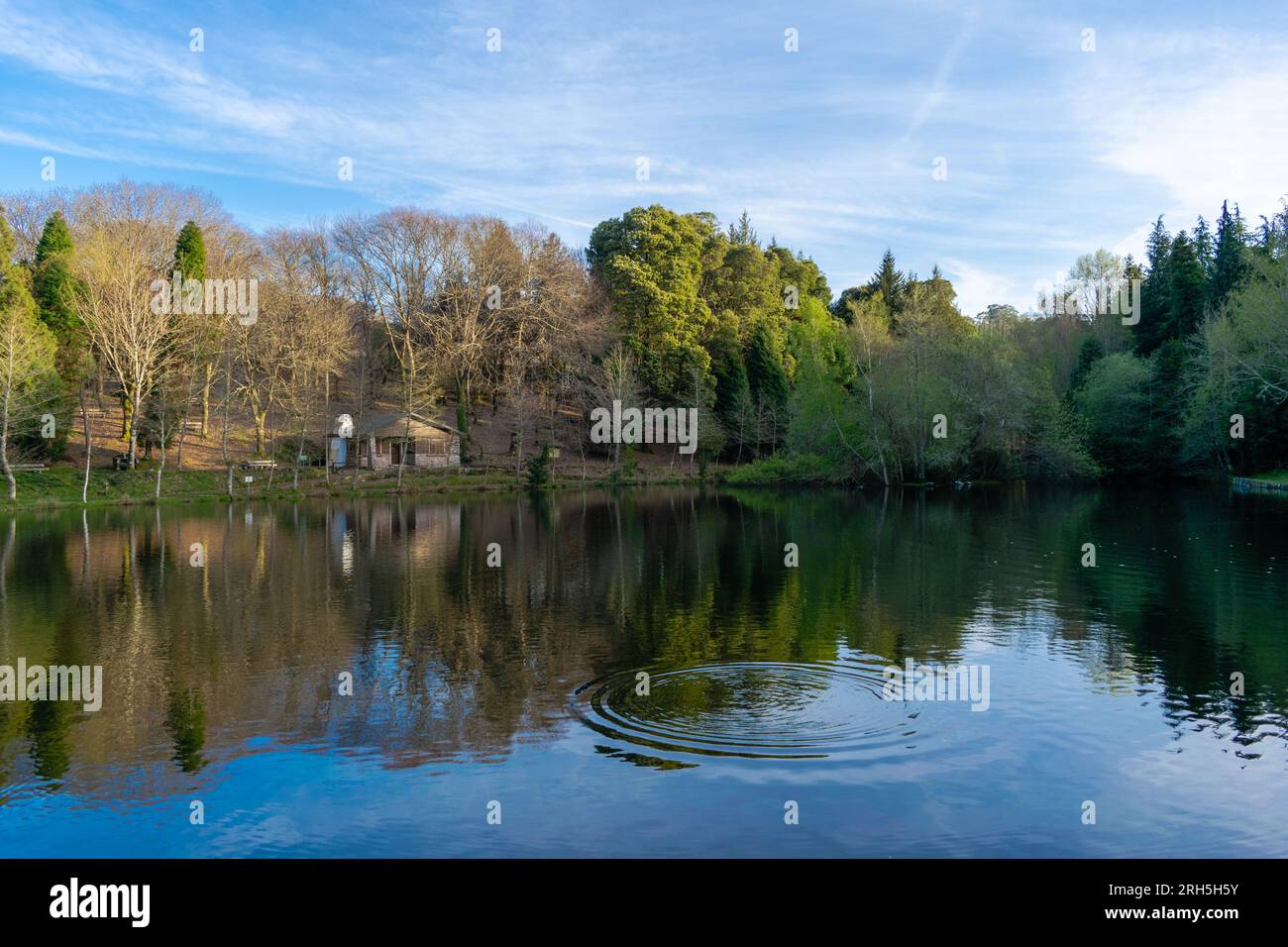 Blick auf den Castiñeiras-See an einem sonnigen Wintertag. Es liegt auf dem Berg Cotorredondo. Pontevedra - Spanien Stockfoto