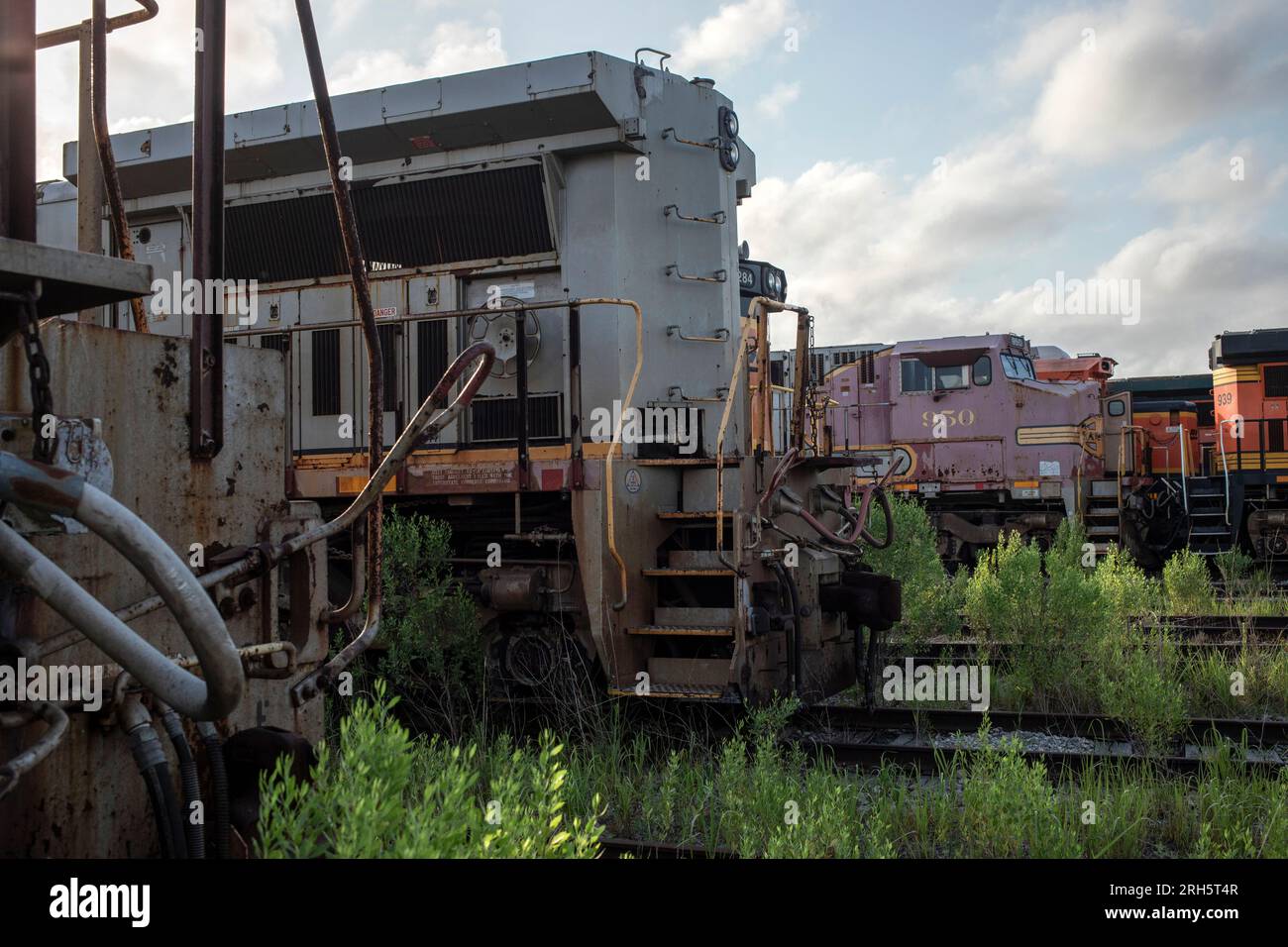 Reihen verfallener Lokomotiven in übergewachsenen Unkräutern Stockfoto
