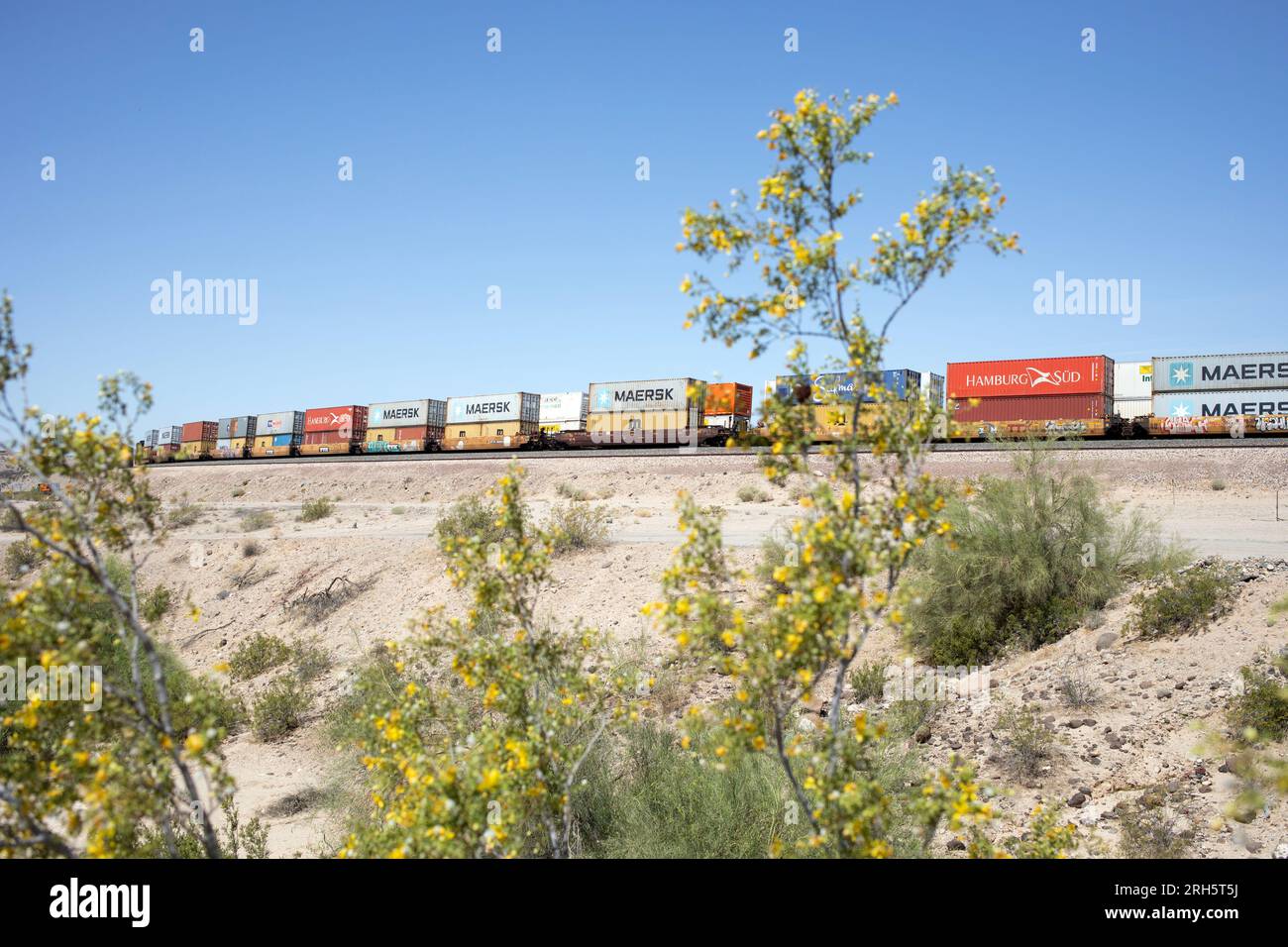 Passieren von Containerstapelzügen mit Blumen im Vordergrund Stockfoto