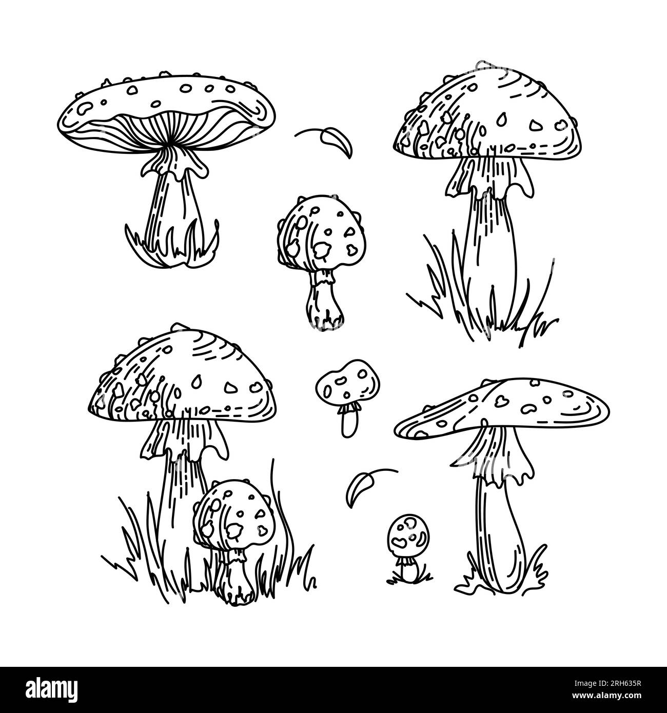 Fliegenagar, Amanita, nicht essbare giftige Pilze. Wunderschöne handgezeichnete grafische Zeichnung. Für Aufkleber, Poster, Postkarten, Designelemente Stock Vektor