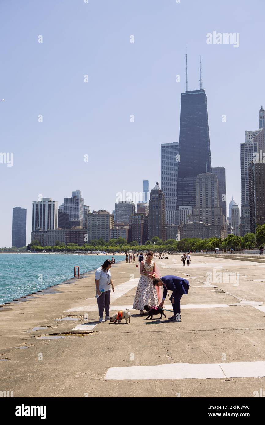 Ein Paar, das für eine Hochzeit gekleidet ist und einen Hund am Betonstrand in der Gold Coast, Chicago, Illinois, USA streichelt Stockfoto