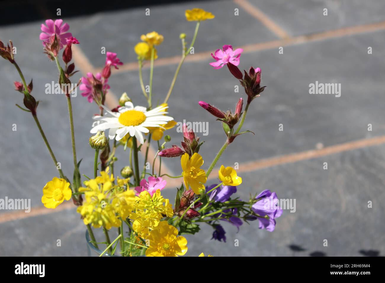 Wunderschöner britischer Wildblumenstrauß. Konzept zum Sammeln von Wildblumen oder zum Pflücken von Wiesenblumen Stockfoto