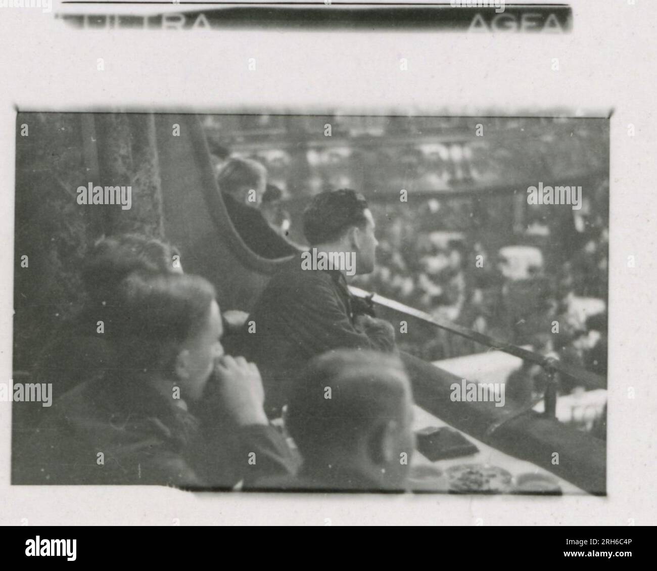 Waffen ss kriegsberichter uniform Fotos und Bildmaterial in hoher