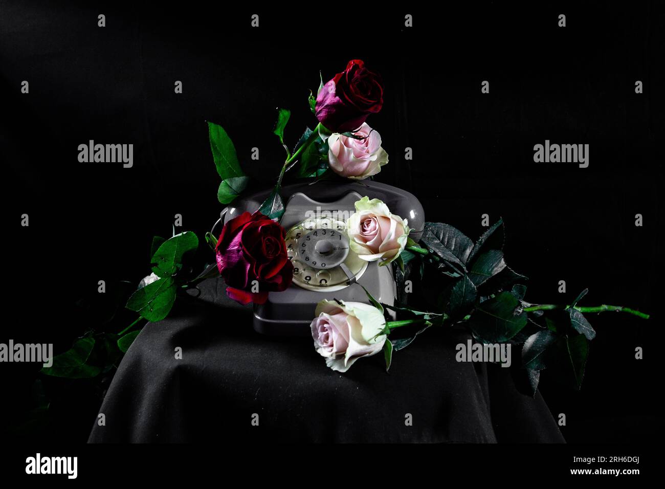Klassische Rose und Telefon Stockfoto