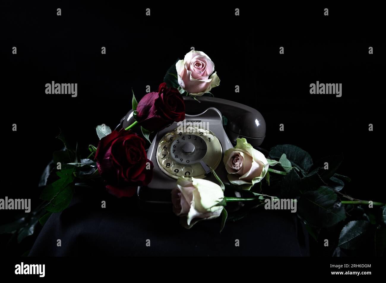 Klassische Rose und Telefon Stockfoto