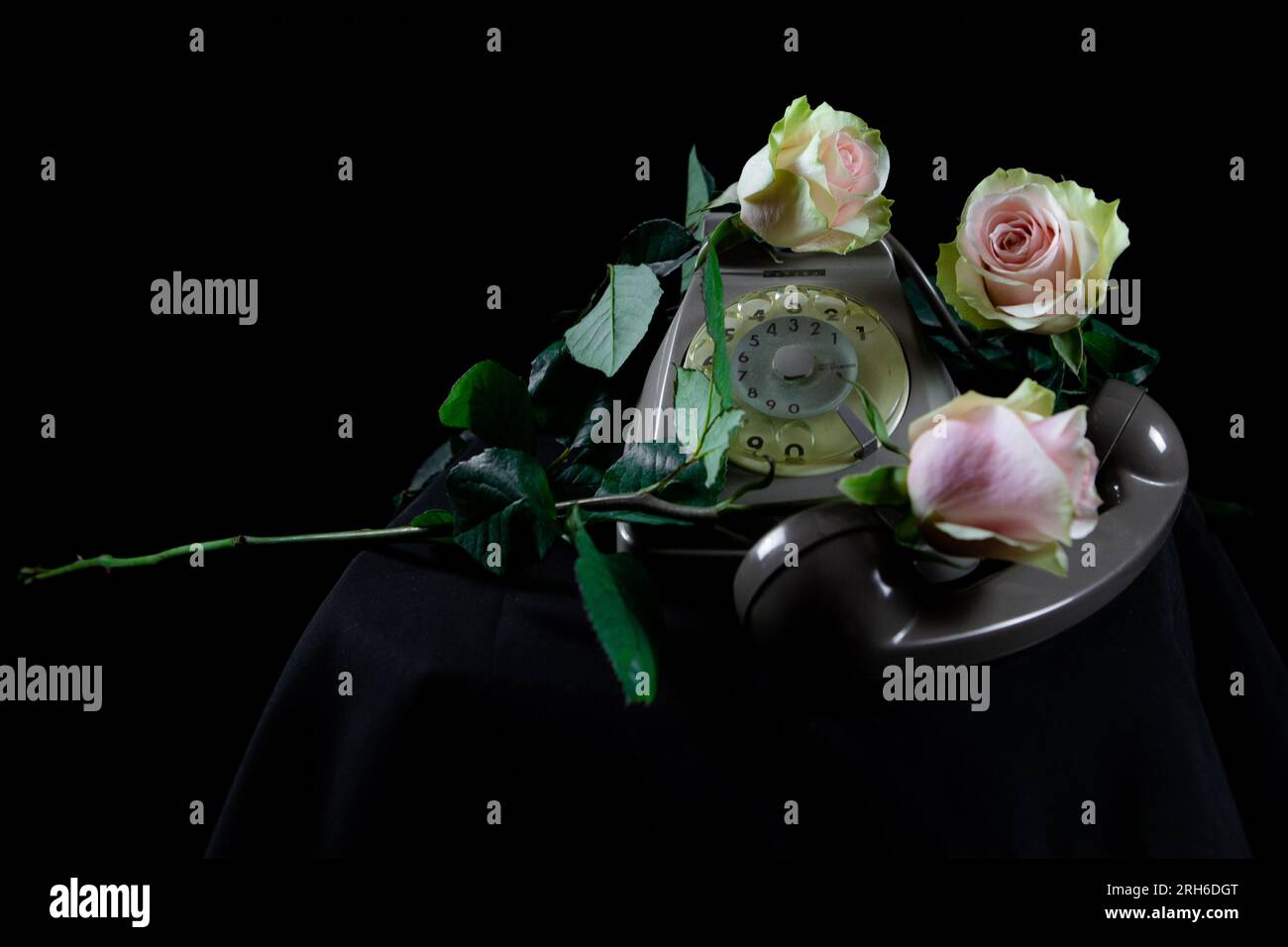 Klassische Rose und Telefon Stockfoto