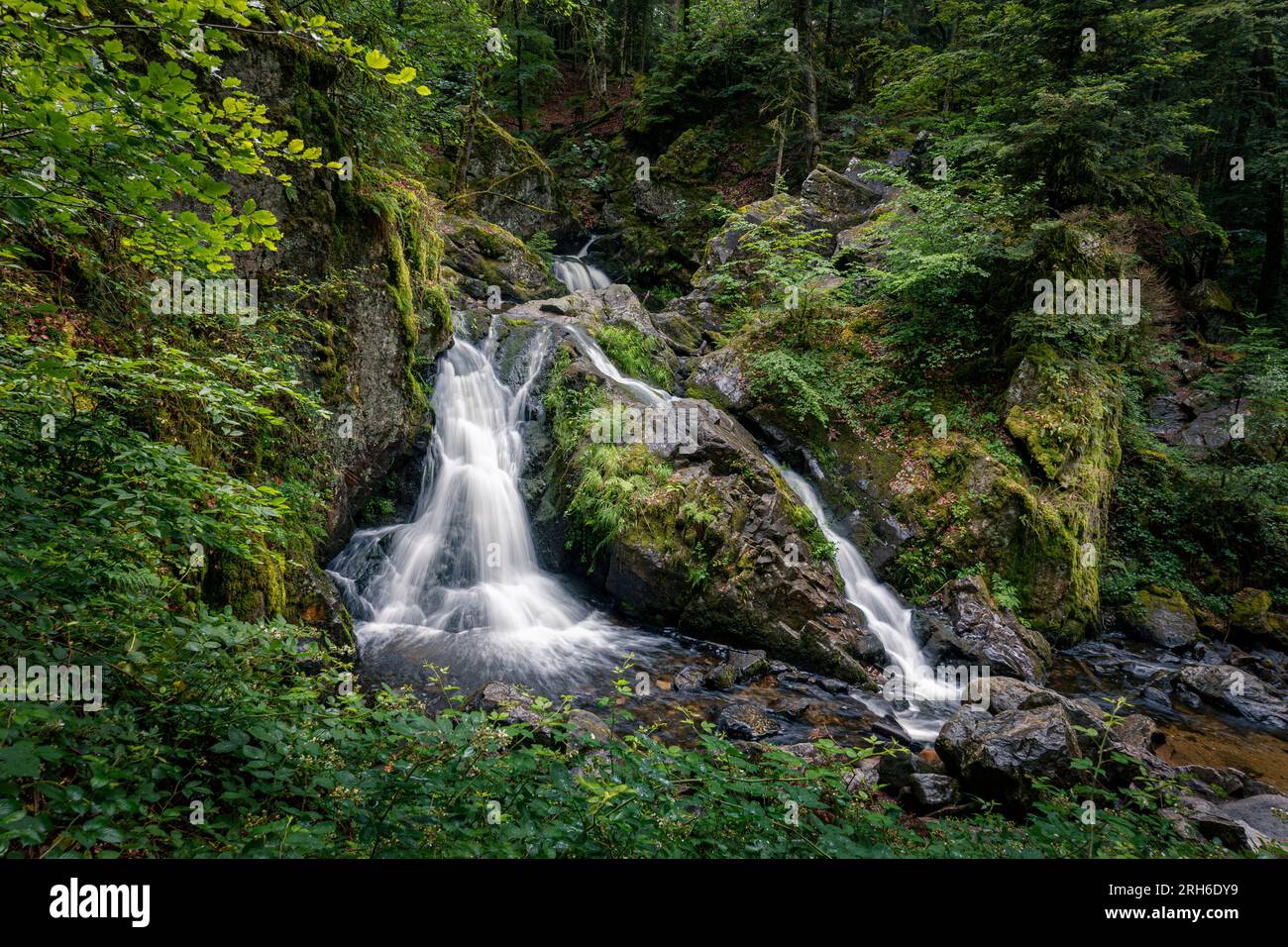 Schöner Wasserfall in der Vogesengegend Frankreichs mit dem Namen „de Sehne“ Dieses Foto zeigt den kleinen Wasserfall mit dem Namen „Petite Cascade de Sehne“ Stockfoto