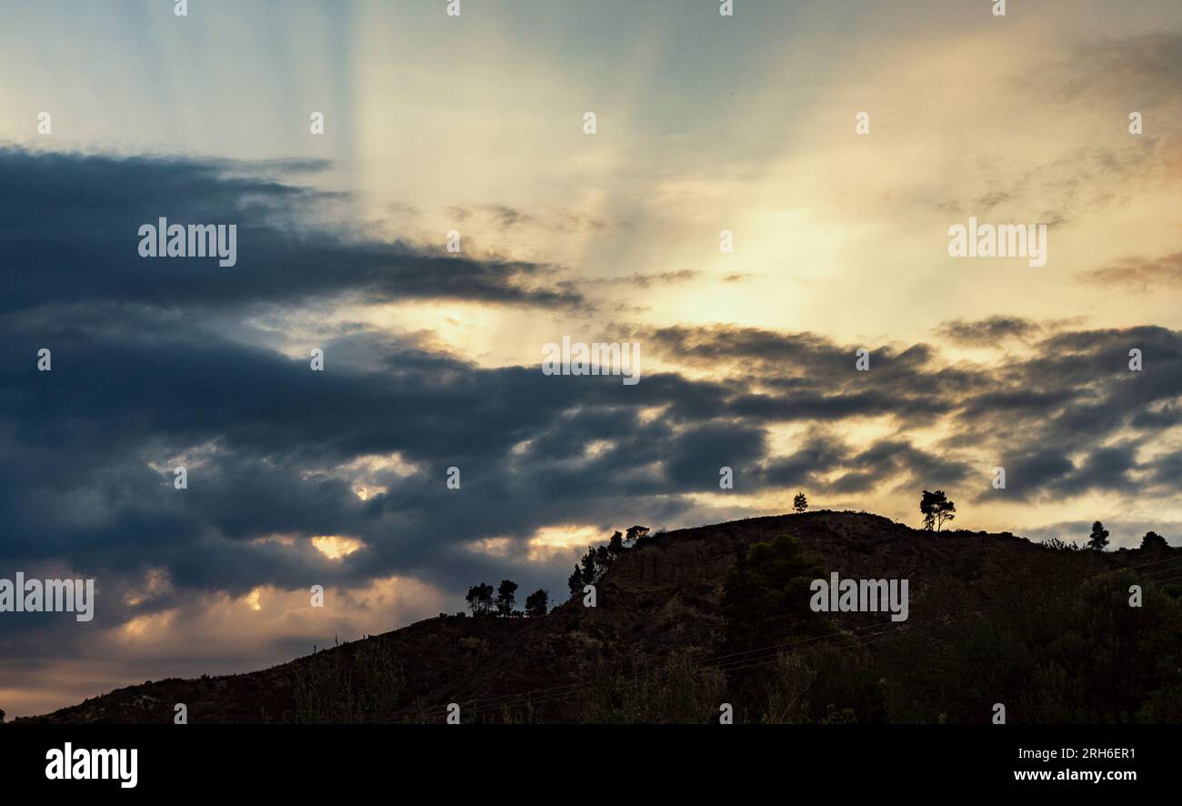 Sonnenuntergang in Griechenland, Region Chalkidiki. Silhouetten einer Kiefer auf einem Hügel. Stockfoto