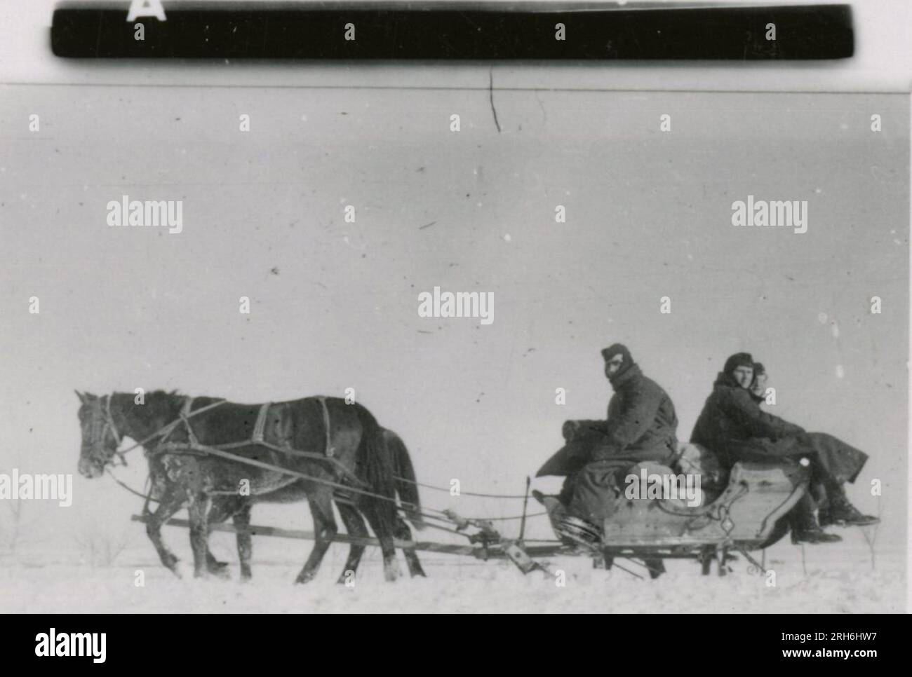 SS-Fotograf, Geyk (Russland) Winterszenen - Ausgraben von Fahrzeugen aus Schnee, Kampfpositionen, Schneeräumen vom Flugplatz mit JU-52 und JU-188; Auszeichnungen im Feld mit Sepp Dietrich und anderen Offizieren; Soldatenshow; schwere Artillerie; zerstörte Stadt- und Hafenszenen; russischer Panzer unter deutscher Flagge gefangen; Beobachtungsposten; zerstörte Befestigungsanlagen in Sewastopol; Flugplatz mit JU-52s; Landschaftsaufnahmen aus der Vogelperspektive; Kampfpositionen in bergigem Gelände; mehrere Bilder von General Hermman Hoth; Nebelwerfer-Schüsse, Panzerkampfwagen 38(t) Stockfoto