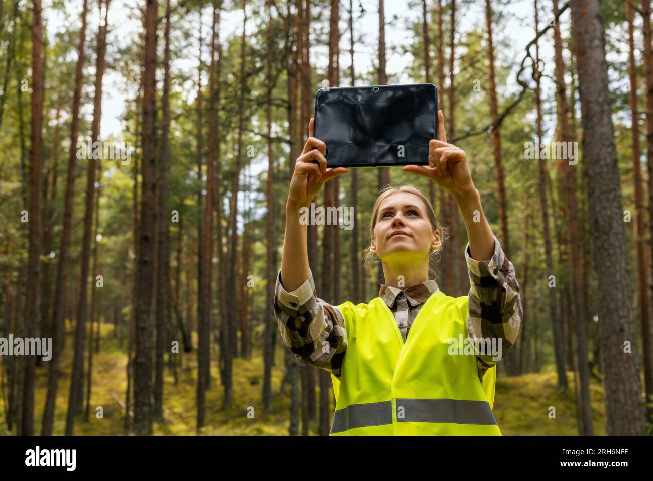 Bewertung und Bewertung des Waldes. Gutachter macht Fotos von Bäumen, Biomasse-Schätzung Stockfoto