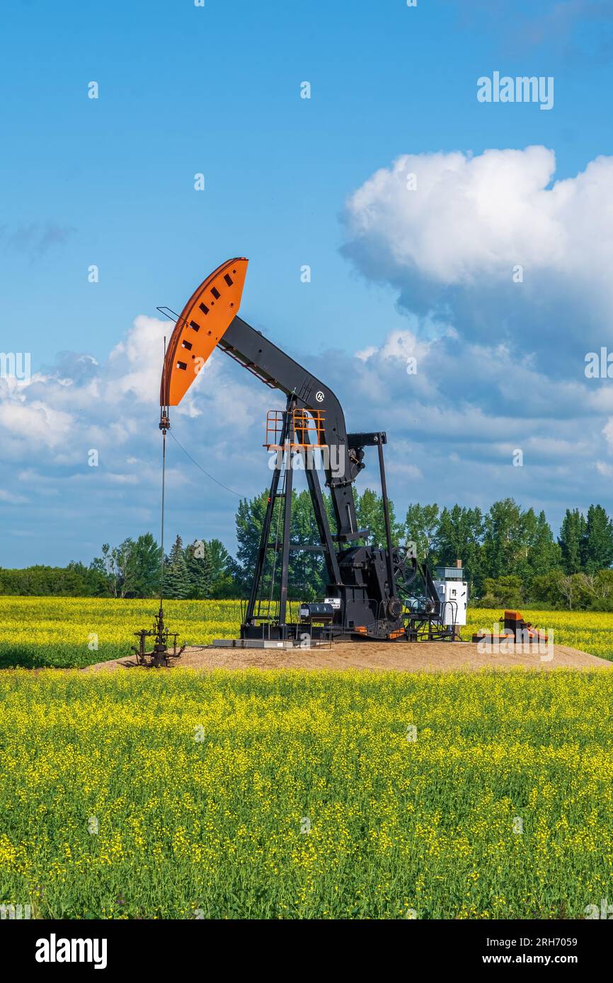Ein Kürbiskerl extrahiert Öl aus einem Brunnen im ländlichen Saskatchewan. Stockfoto