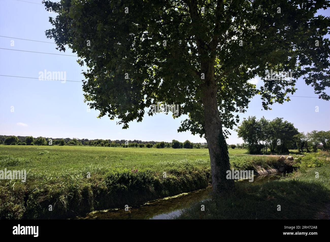 An einem sonnigen Tag in der italienischen Landschaft fließt ein Wasserstrahl im Schatten neben einem Popar Stockfoto