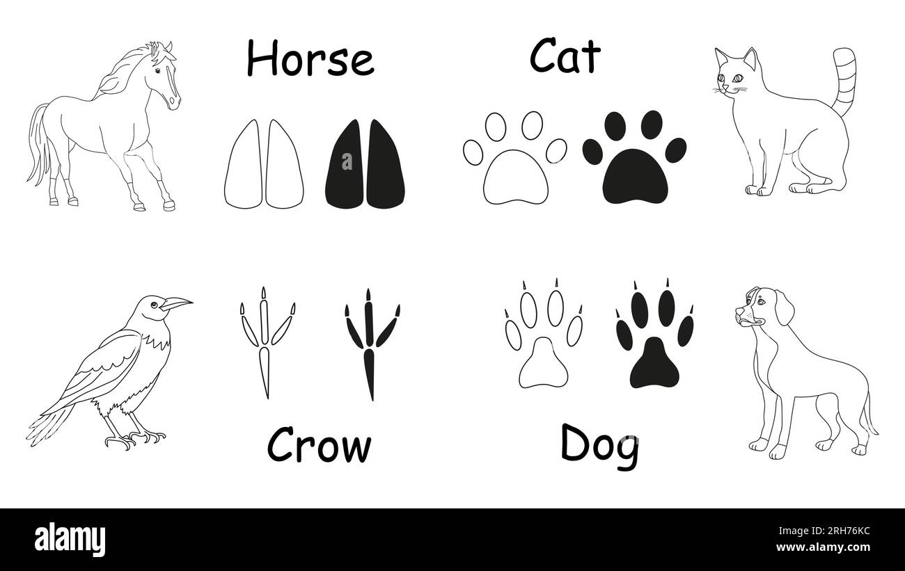 Set von Tieren, Pferde, Katzen, Hunde, Krähen und ihre Fußabdrücke. Schwarzweißzeichnung. Umriss, Silhouette. Vektor isoliert. Kinderlehrbuch c Stock Vektor