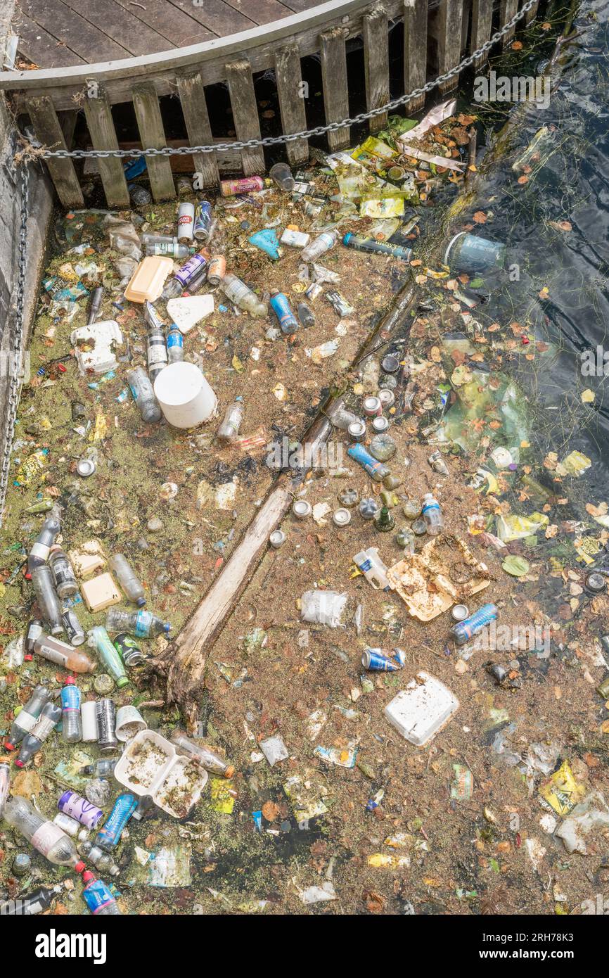 Weggeworfene Kunststoffflaschen, Lebensmittelverpackungen und Dosen, die in einem Dock in Salford Quays, Greater Manchester, England, schweben Stockfoto