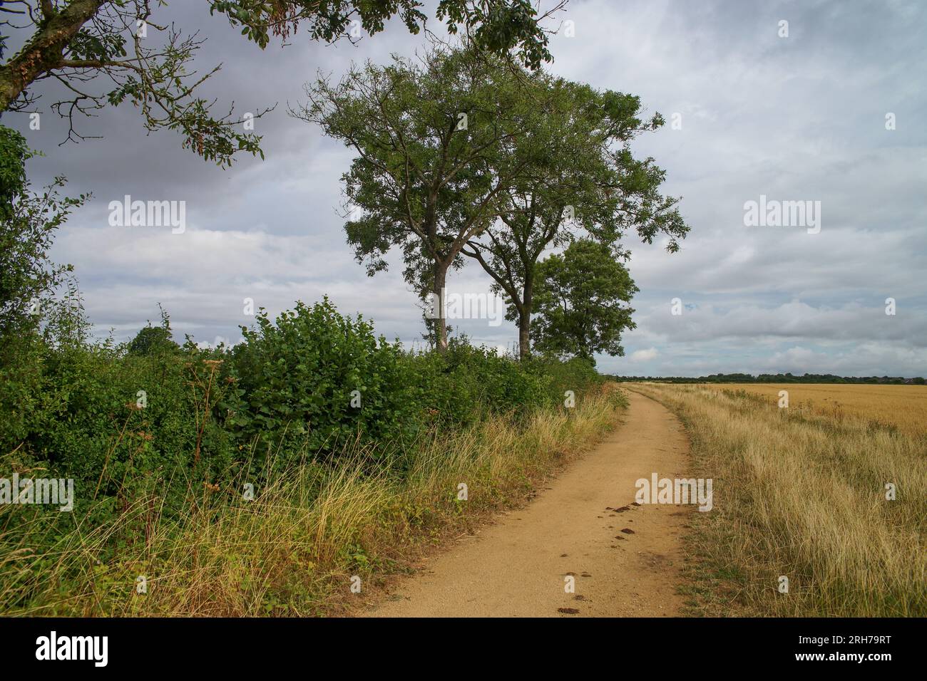 Cotswolds in England. Landschaft mit Flößen und Bäumen. Dramatischer Himmel im Hintergrund. Stockfoto