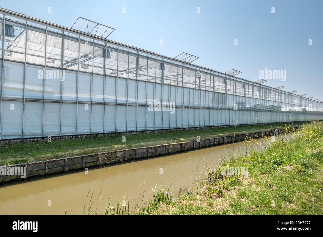 Perspektive eines modernen Industriegewächses im Westland, Niederlande. Westland ist eine Region in den Niederlanden. Stockfoto