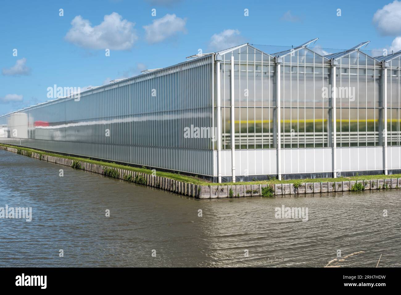 Perspektiven eines modernen Industriegewächses in den Niederlanden Stockfoto