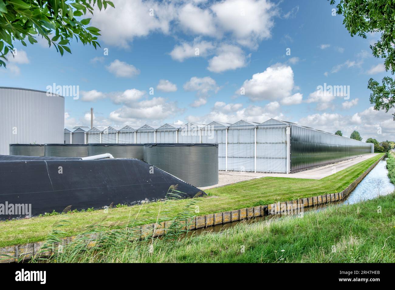 Perspektive eines modernen Industriegewächses mit Solar- und Regenwassergewinnungssystemen in den Niederlanden. Stockfoto