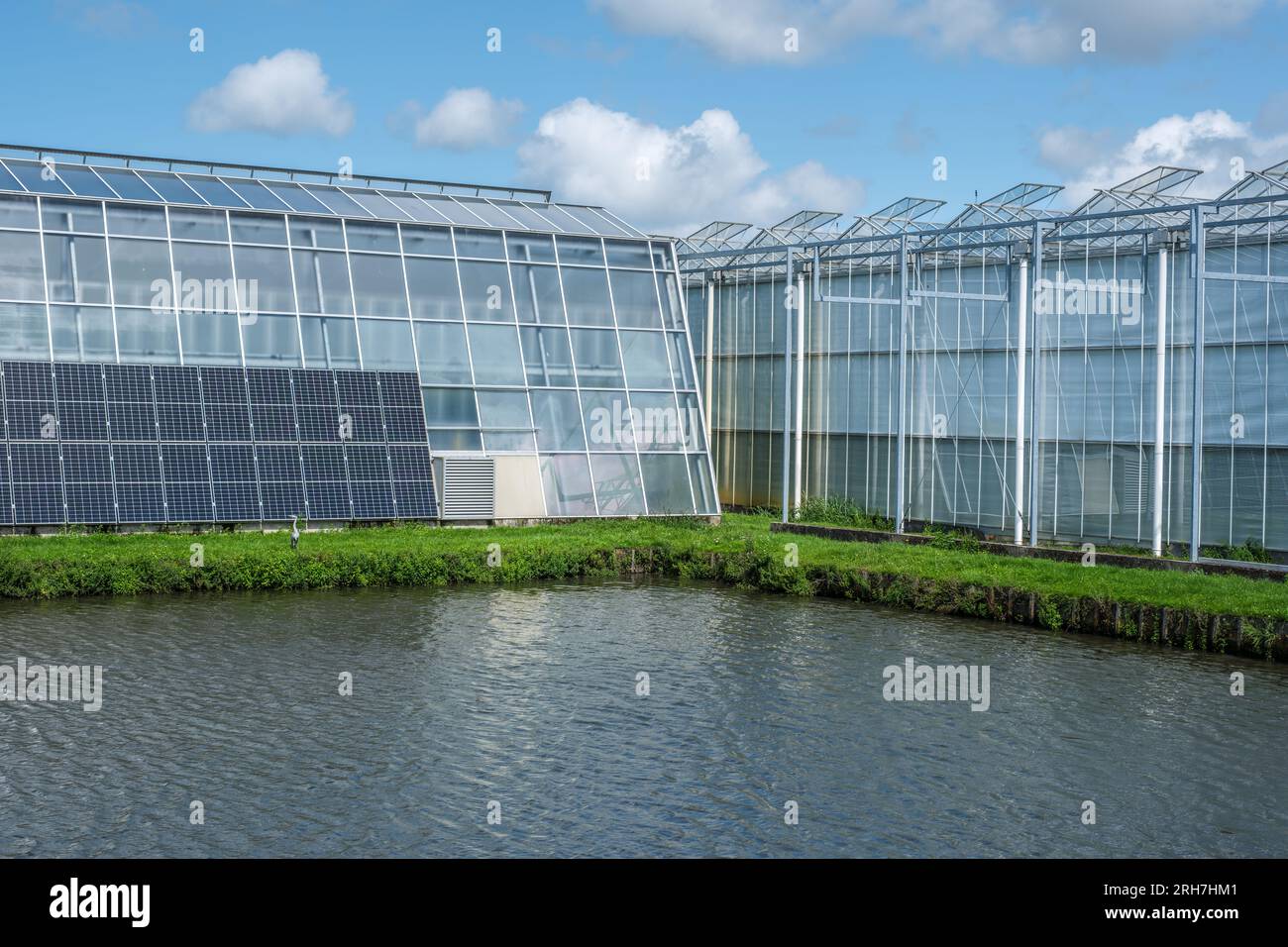 Perspektive eines modernen Industriegewächses mit Sonnenkollektoren an der Seite in den Niederlanden. Stockfoto