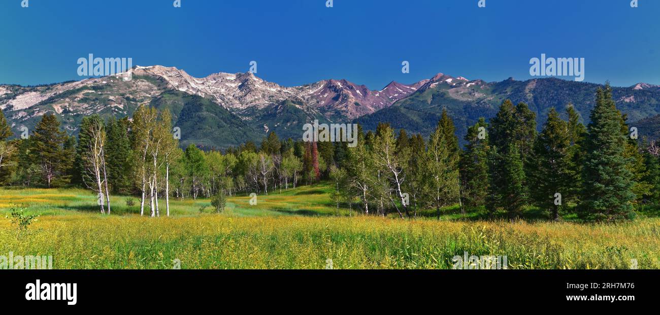 Tibble Fork Wanderaussichten vom Trail Lone Peak Wilderness Uinta Wasatch Cache National Forest, Rocky Mountains, Utah. Vereinigte Staaten. Stockfoto