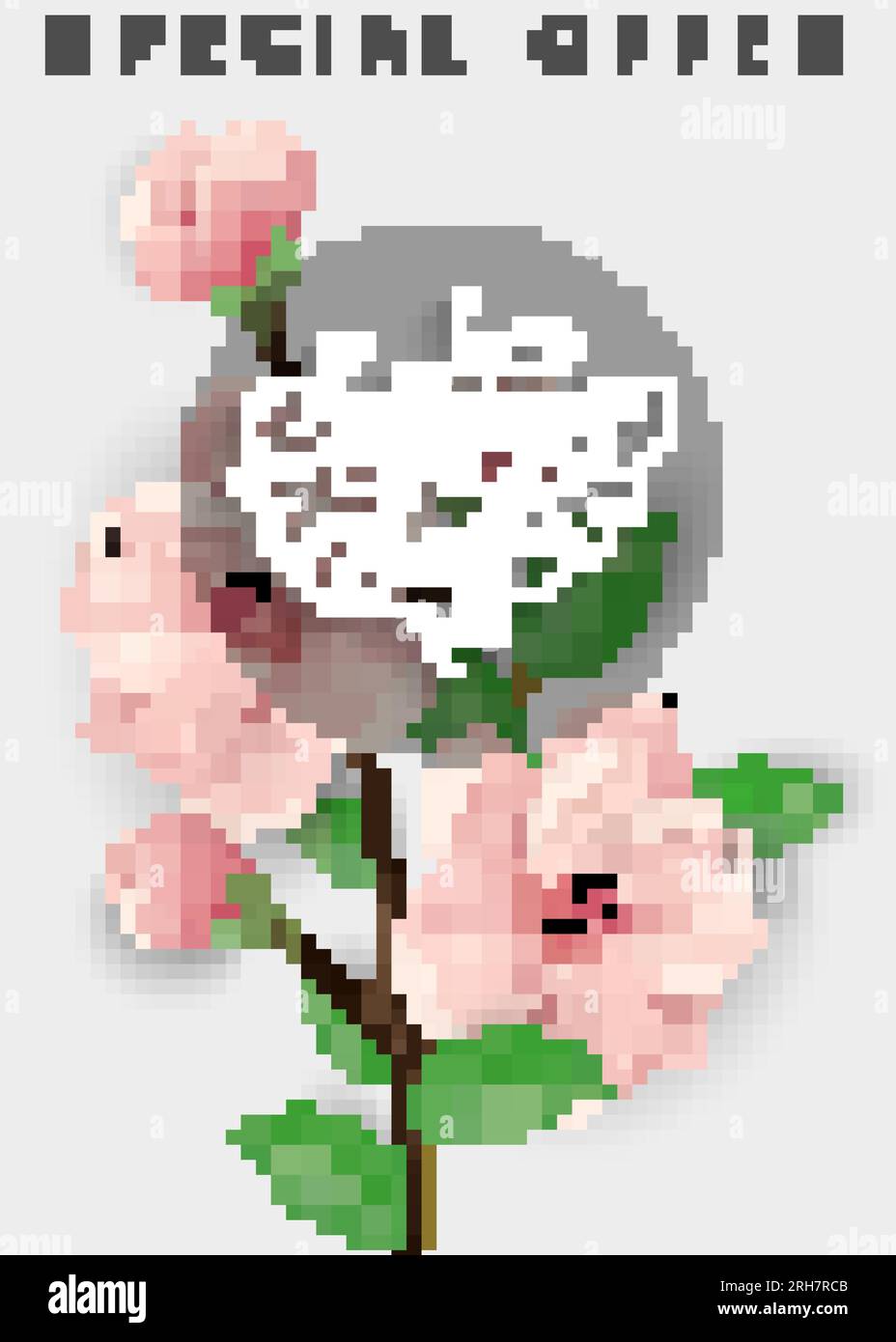 Sonderangebot – Schriftzug Für Sommerangebote Stock Vektor