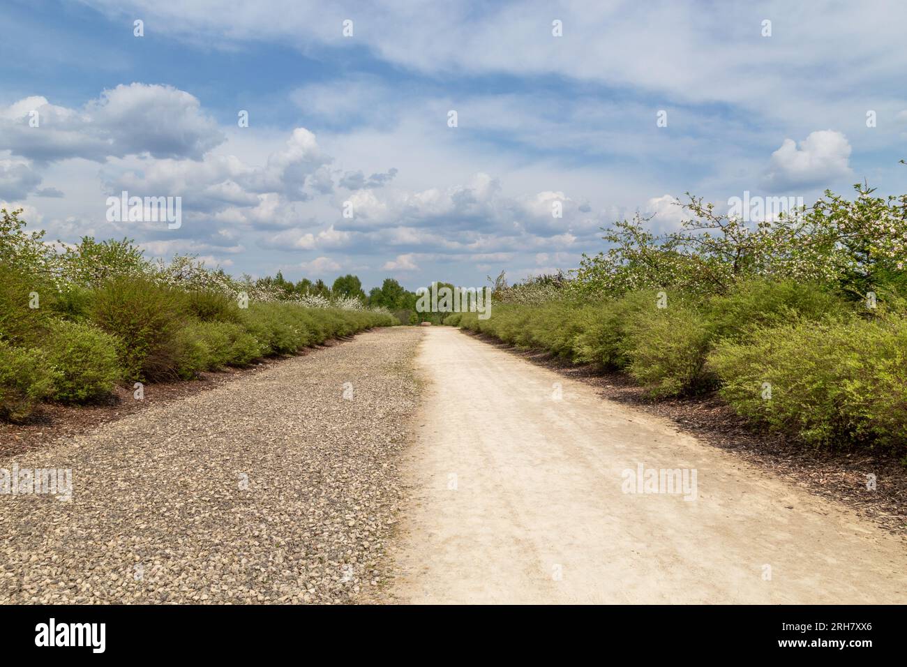 Eine Gasse im Gedenkpark Liktendarzs (der Garten des Schicksals) in Koknese, Lettland. Stockfoto