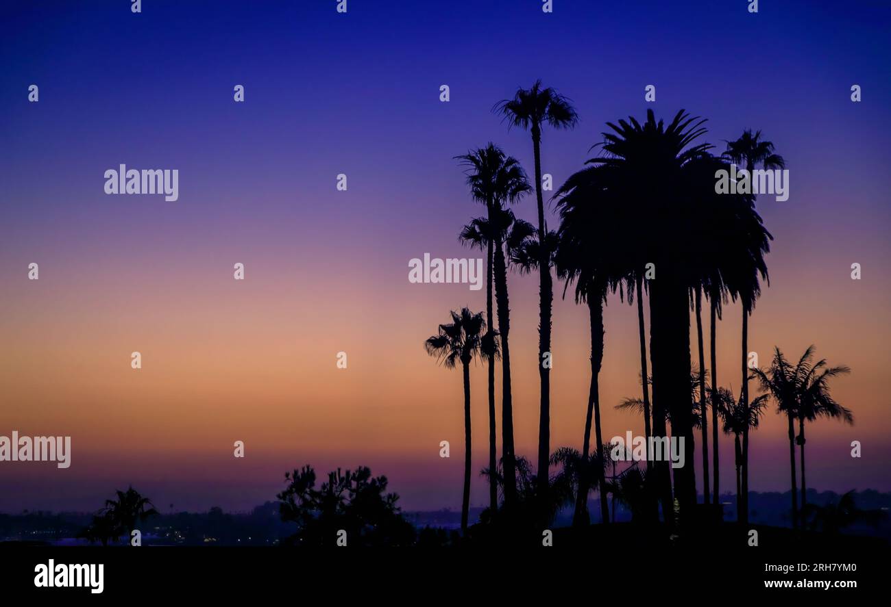 Palmen und Luxushäuser über dem Pazifik bei Sonnenuntergang am Inspiration Point in Corona del Mar, Newport Beach, einem berühmten Reiseziel in Kalifornien Stockfoto