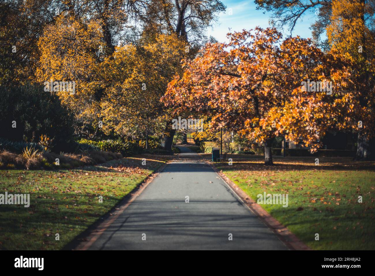 Einer der zahlreichen Parks rund um Melbourne, Australien. Dieses Foto wurde während der Wintersaison 2019 aufgenommen. Stockfoto