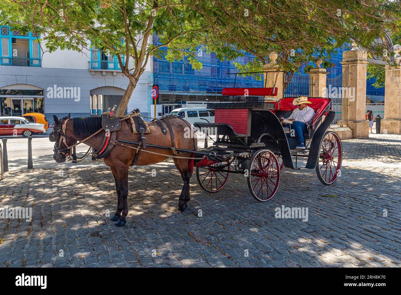 Kuba, Varadero ist einer der bekanntesten Orte in Kuba. Alte amerikanische Autos aus der Elvis-Aaron-Presley-Periode. Ford aus den 50s. Stockfoto