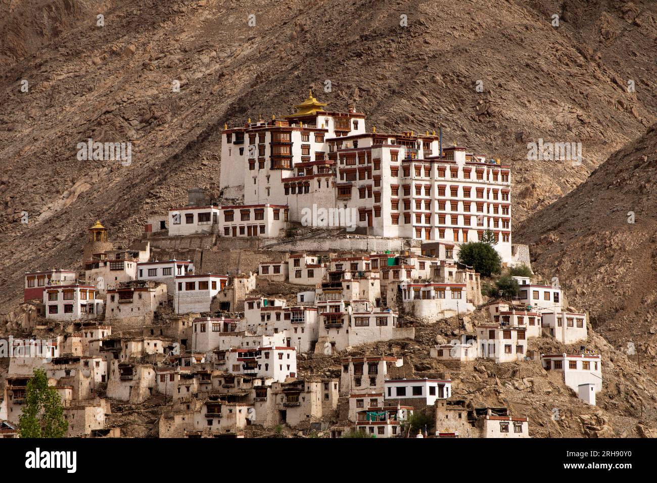 Indien, Ladakh, Chemrey, buddhistischer Gompa auf einem Hügel Stockfoto