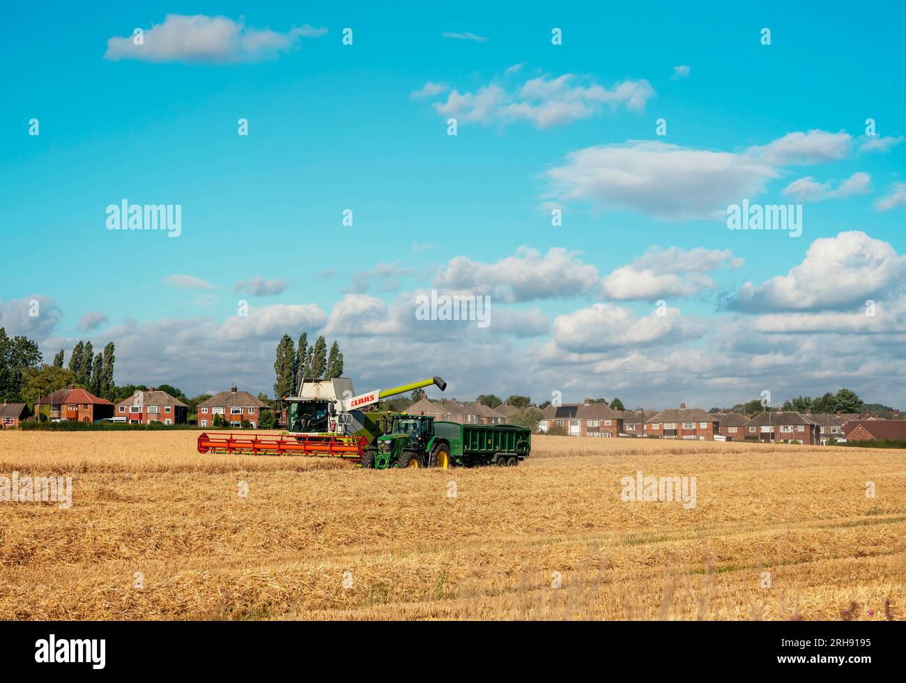 Weizenernte in der Sommersaison durch einen modernen Mähdrescher mit einem dramatischen Himmel im Hintergrund. Bauern sichern Nahrungsmittelversorgung und Fütterung Stockfoto