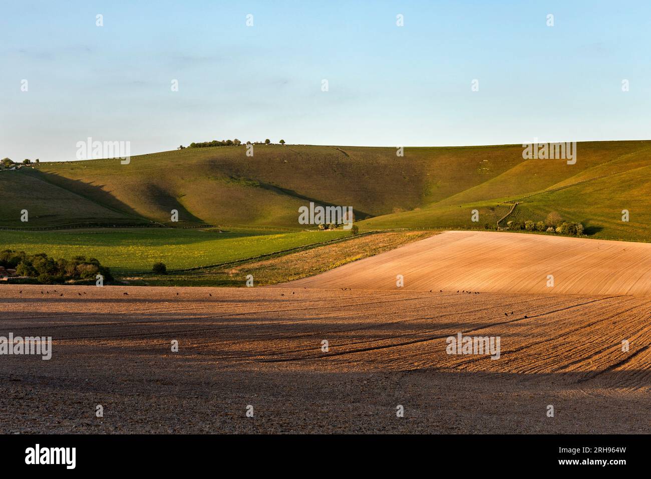 Pewsey Downs; Wiltshire; Großbritannien Stockfoto