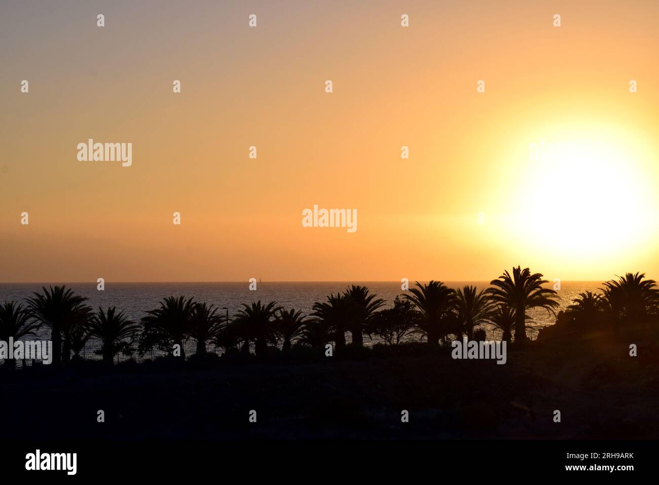 Sonnenuntergang am Meer mit Silhouetten von Palmen und hellgelber Sonne am Horizont Stockfoto