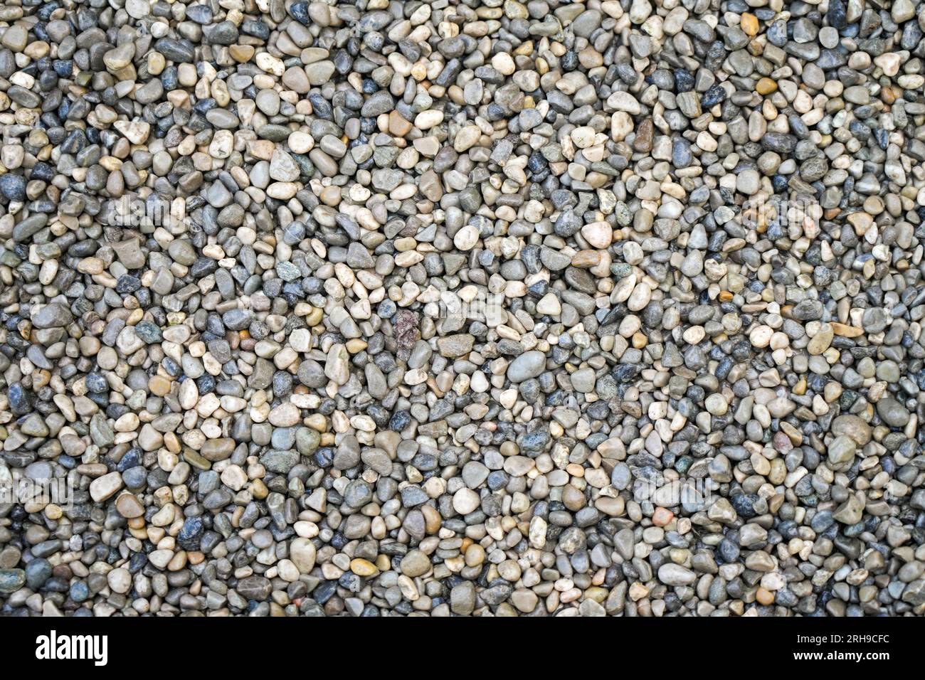 Pfad aus Kieselsteinen. Hintergrund von kleinen Steinen. Stockfoto