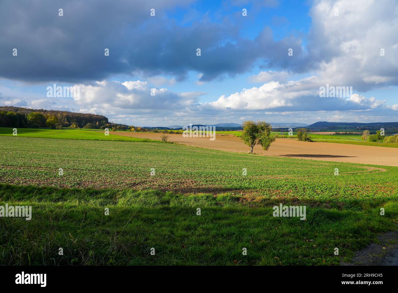 Landschaft am Goldbergsee im Landkreis Kulmbach. Natur mit Feldern und Wiesen. Stockfoto