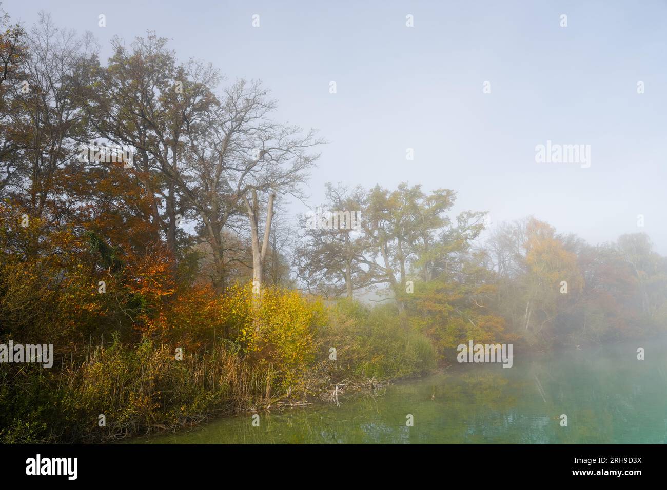 Nebelhafter Morgen am See. Mystische Landschaft im Nebel. Stockfoto