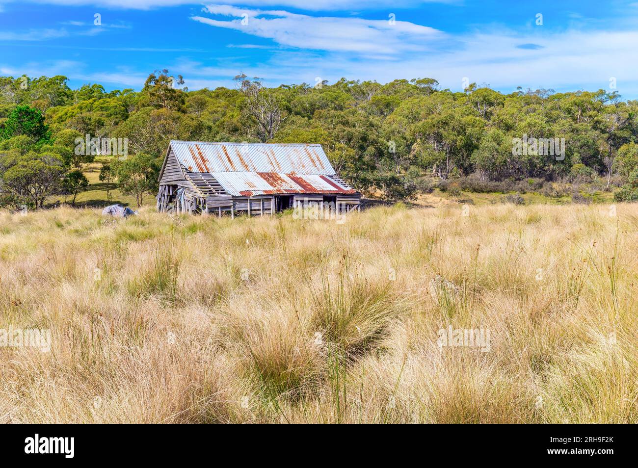 Eine einsame Pionierhütte aus dem Hochland zeigt die Verwüstungen der Zeit in der Nimmitabel-Region der Snowy Mountains, Australien. Stockfoto