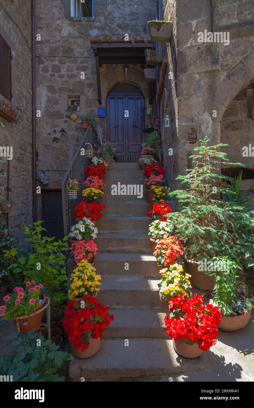 Charmanter vertikaler Schuss von mit Blumen bedeckten Stufen, die zu einer traditionellen Holztür in Vitorchiano führen. Stockfoto