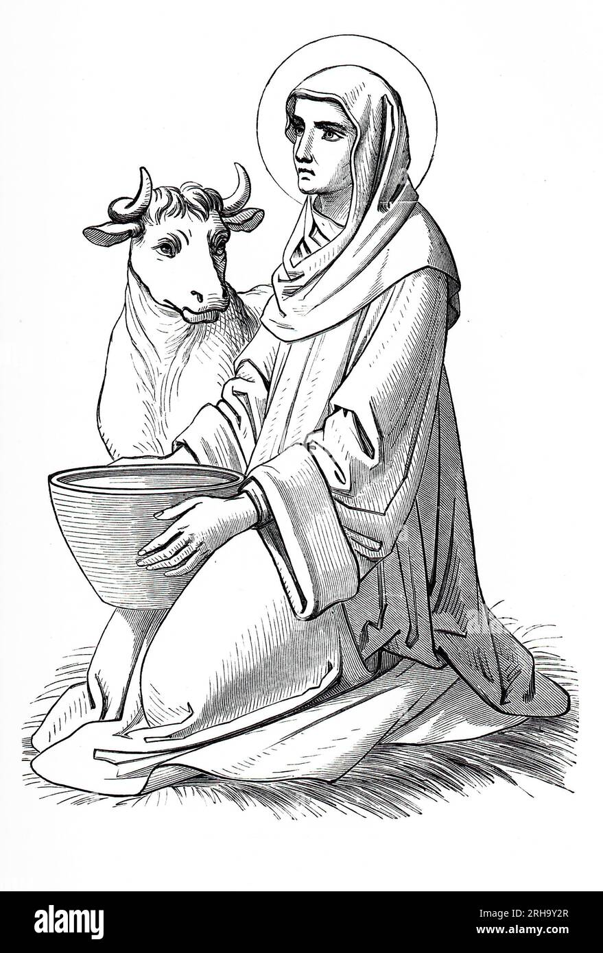 Die Heilige Brigid von Kildare oder die Heilige Brigid von Irland mit ihrem Attribut, einer Kuh. Gravur aus dem Leben der Heiligen von Sabin Baring-Gould. Stockfoto