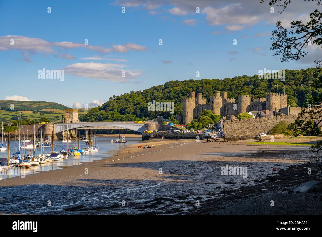 Der Fluss Conwy und Conwy Castle bei Ebbe vom Ufer des Flusses. Stockfoto