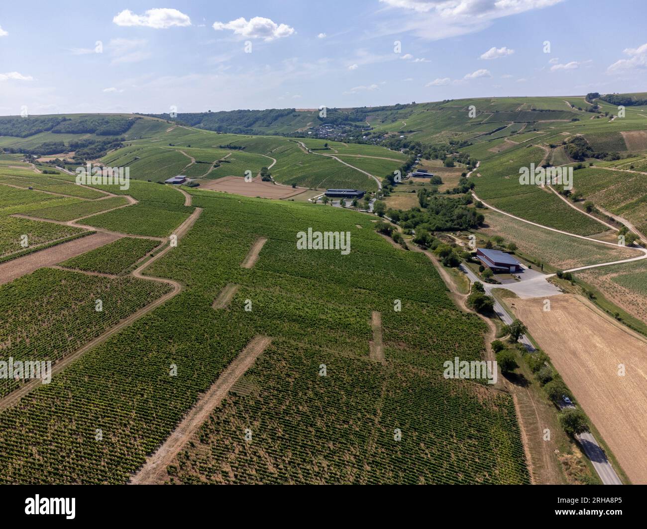 Weinberge der Appellation Sancerre, Herstellung von trockenem Weißwein aus der traube sauvignon Blanc, die auf Hügeln am linken Ufer des Flusses Loire auf differen angebaut wird Stockfoto